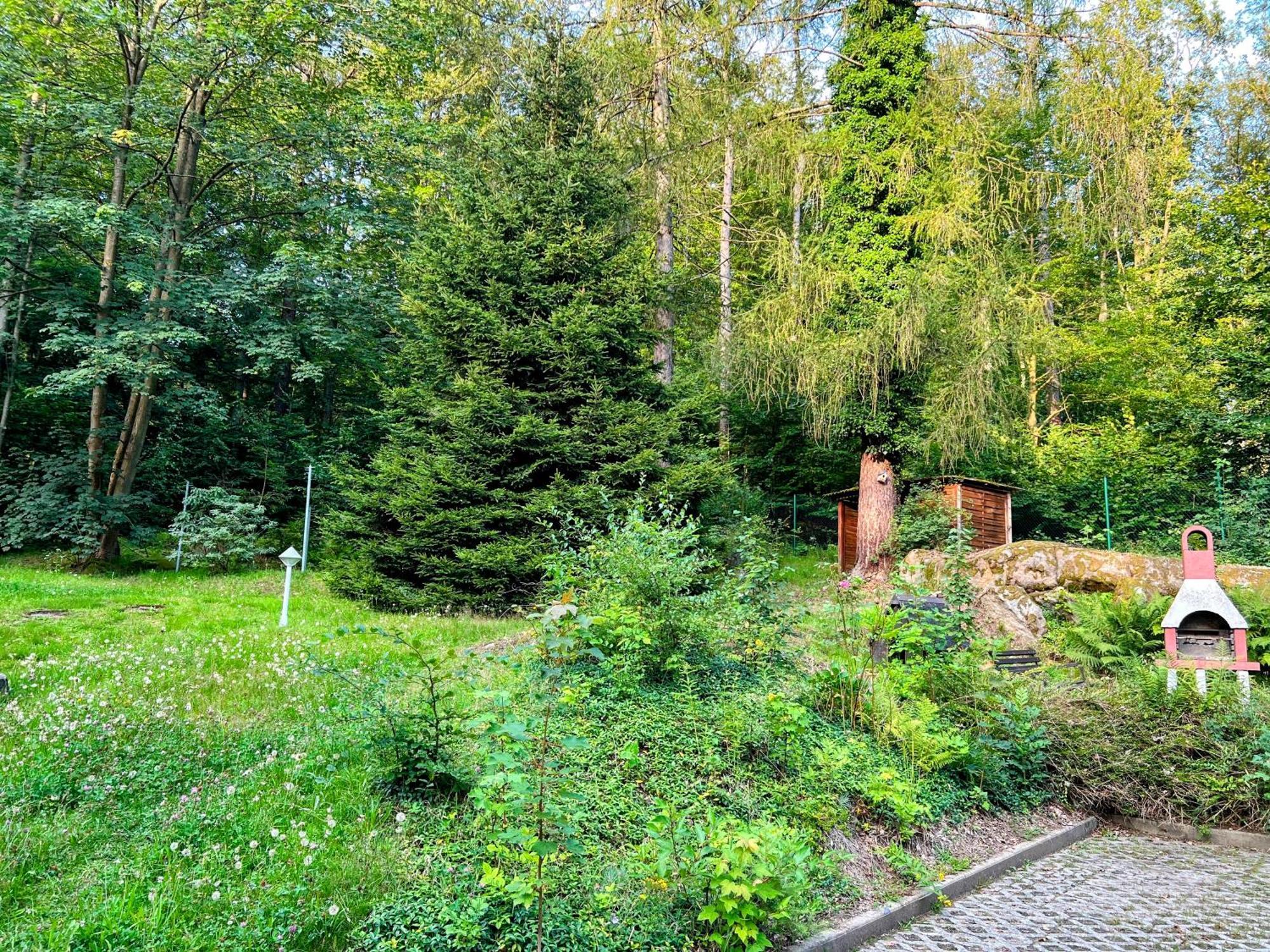 Ferienapartment "An Der Forellenschaenke" Sebnitz Dış mekan fotoğraf
