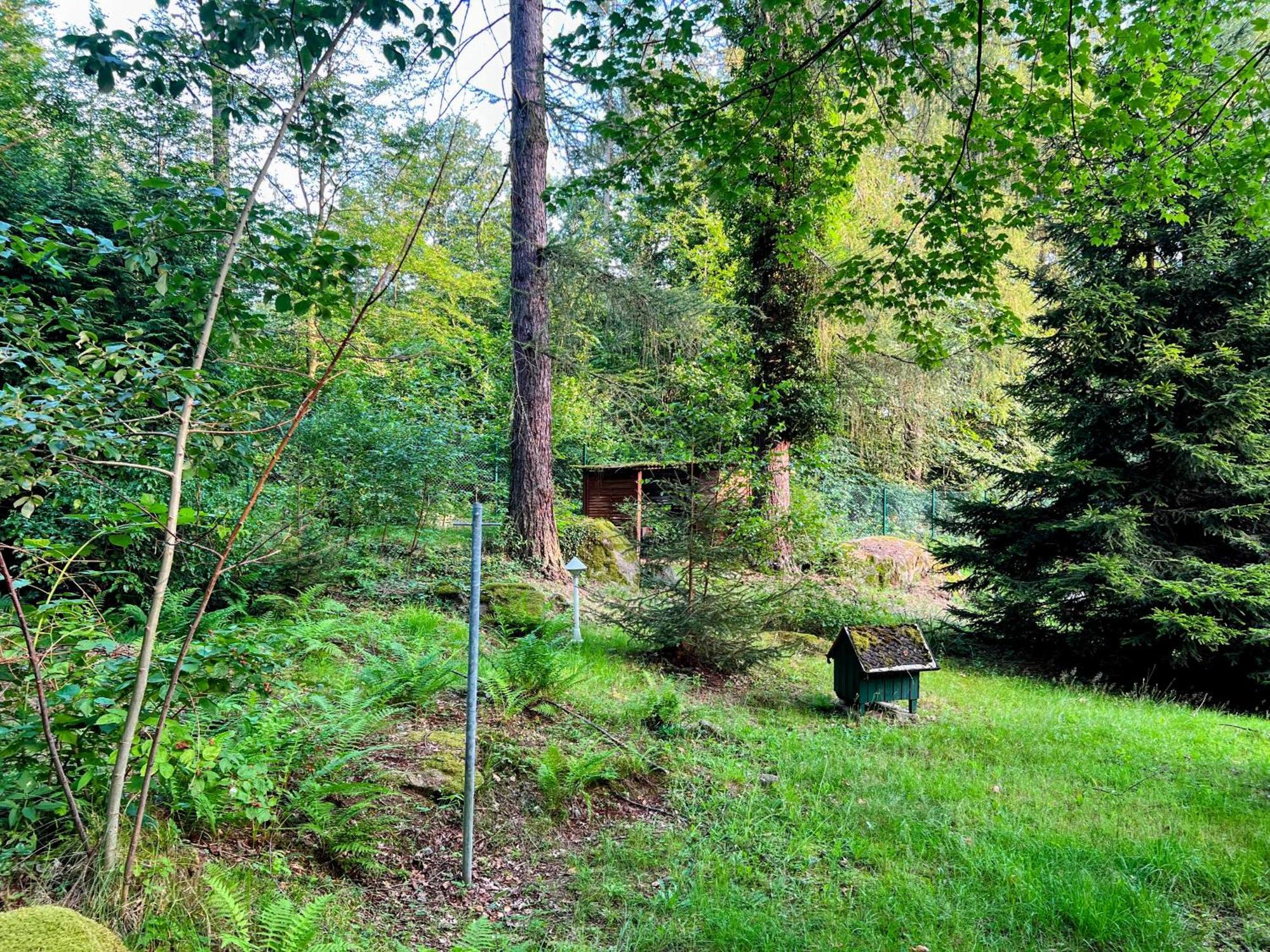 Ferienapartment "An Der Forellenschaenke" Sebnitz Dış mekan fotoğraf